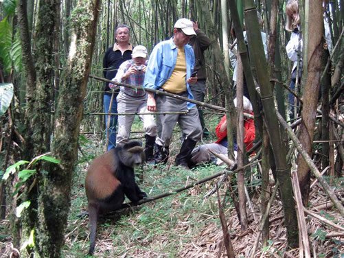 price-for-designing-a-tourism-website-in-uganda