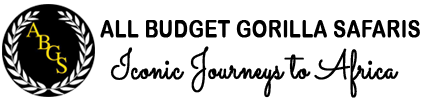 Client 6