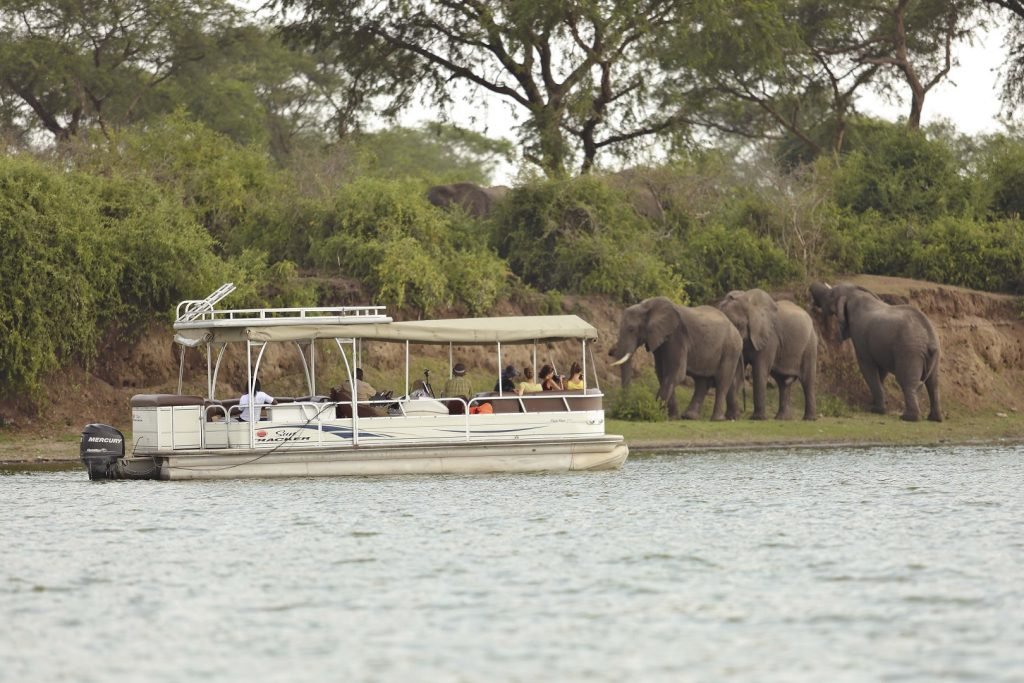 why-every-safari-company-in-uganda-needs-a-website