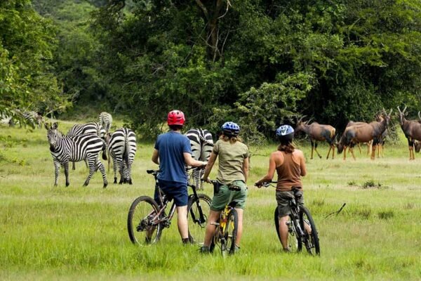 how-long-does-it-take-to-design-a-tourism-website-in-uganda
